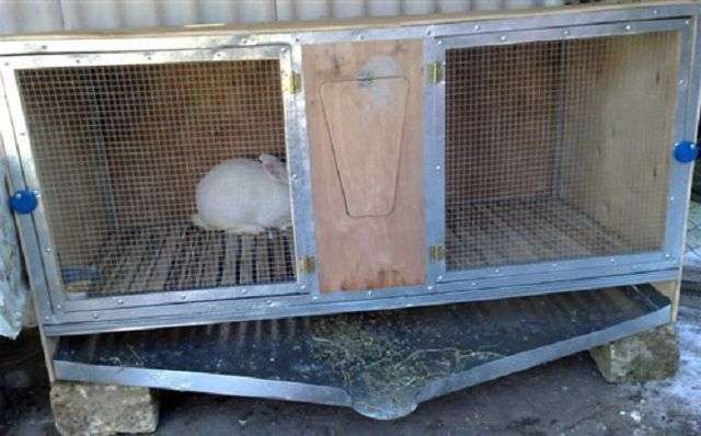 Як побудувати клітку для кроликів